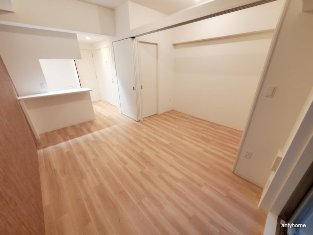 セレニテ堺筋本町リアン　仲介手数料無料の居間・リビング