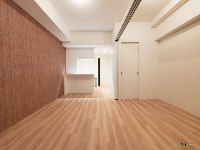 セレニテ堺筋本町リアン　仲介手数料無料の居間・リビング