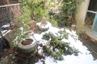  | 近江八幡市為心町中　中古戸建 | 中庭