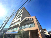 コリンデールの画像