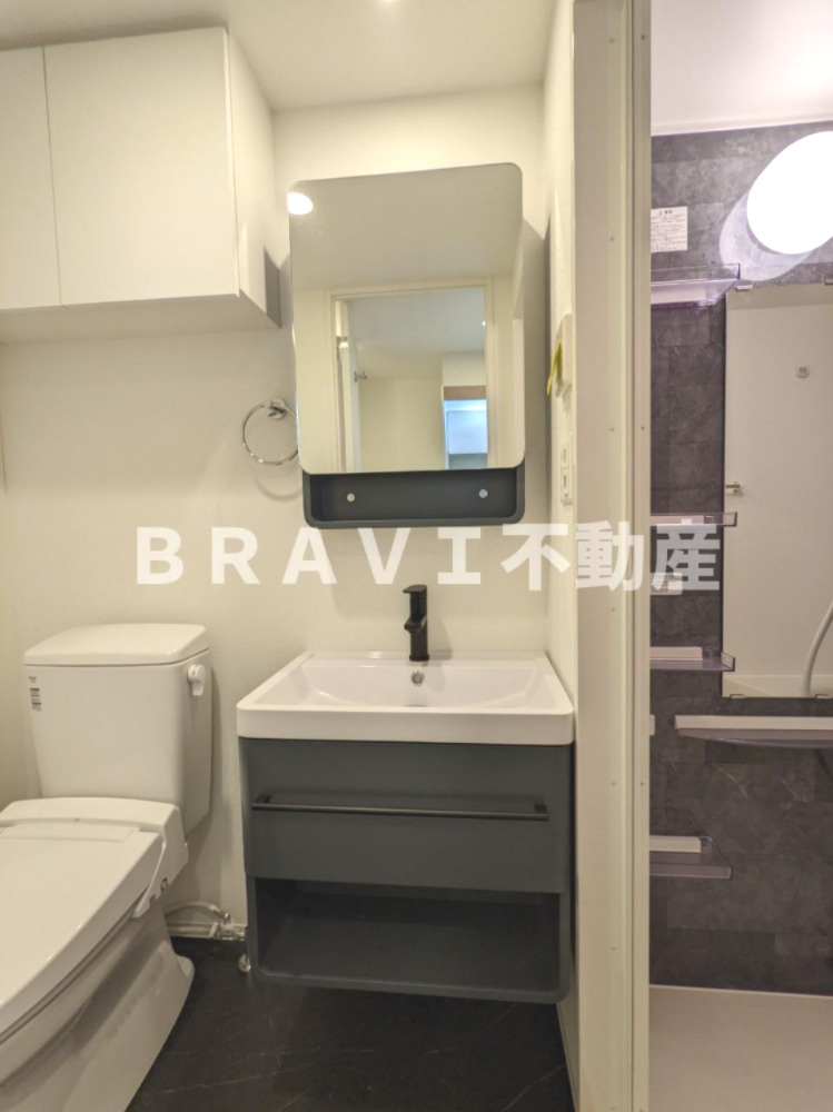 セレニテ堺筋本町リアン BRAVI不動産の独立洗面台|【セレニテ堺筋本町リアン】