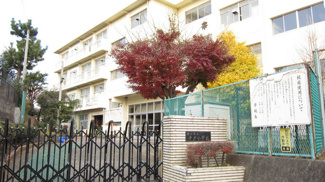 横浜市立戸小学校まで150ｍ