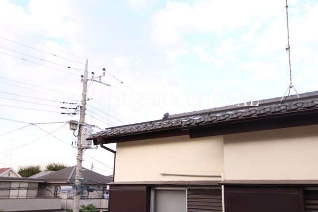 ＴＡＭＡ　Ⅱの展望