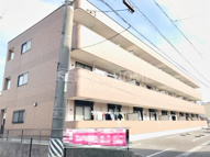 フォレストカワハラの画像