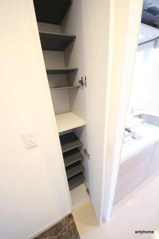 レジュールアッシュ梅田ＮＥＸ　仲介手数料無料の玄関