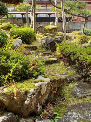 【庭】 | 鳥取市佐治町加茂中古戸建て