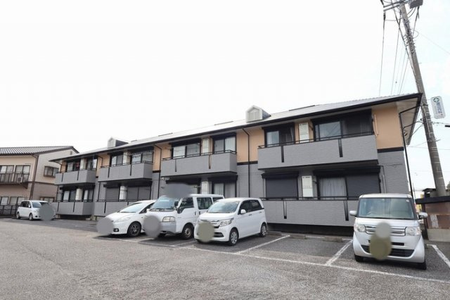 ハイカムール並木