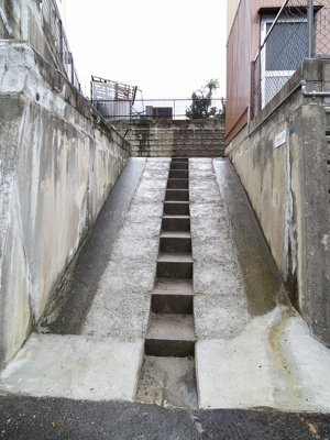 【その他】 | ＦｉｎｅⅩⅢ（ファインサーティーン）