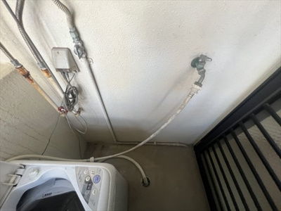  | シャルマンELL