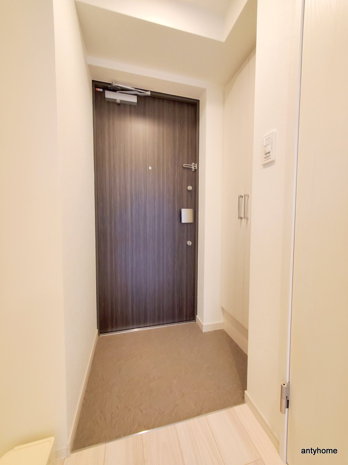 プレサンス OSAKA 姫里エンファシス 仲介手数料無料の玄関