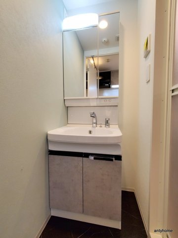 プレサンス OSAKA 姫里エンファシス 仲介手数料無料の洗面所