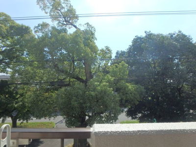 【展望】 | Ｓｕｎ仲むら