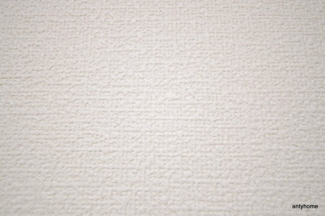 ノルデンタワー南森町プレミアム　仲介手数料無料の内装