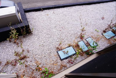 【その他】 | クオリティア平塚