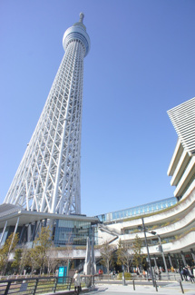 東京スカイツリーまで500ｍ