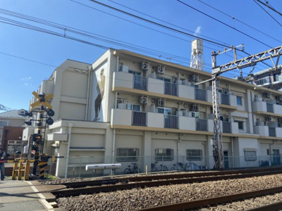 【外観】 | 相模楽聖会館 | 外観