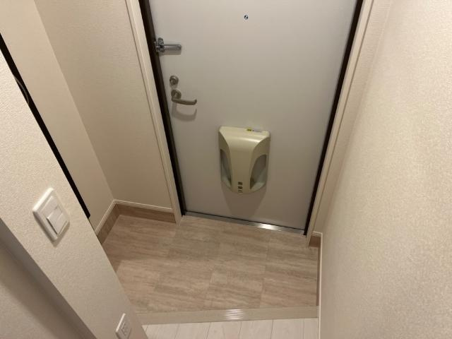 シルバーフォックスのその他