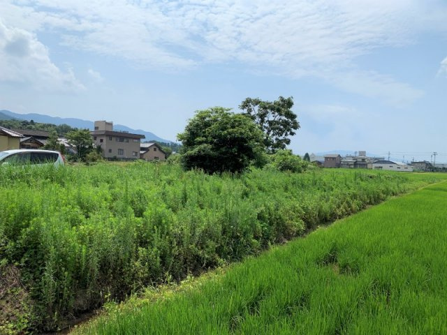 坂井市丸岡町八ケ郷　売土地の外観