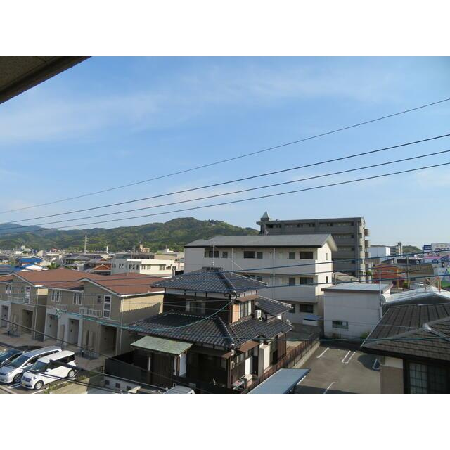 ピュアセントT1の展望