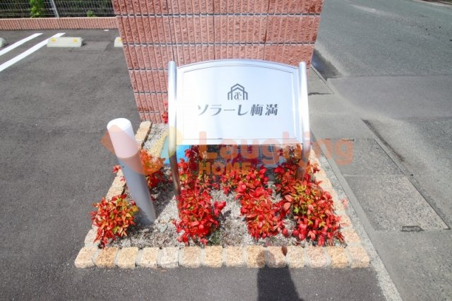 ソラーレ梅満のその他