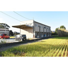 ティンカーベルの画像