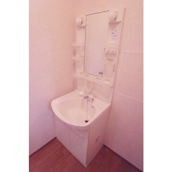 ラ・テール参番館の洗面所