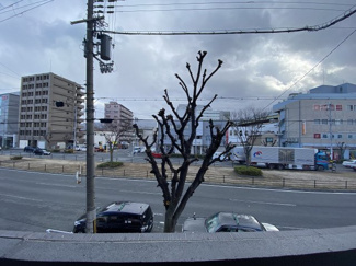 【展望】 | Luck Field