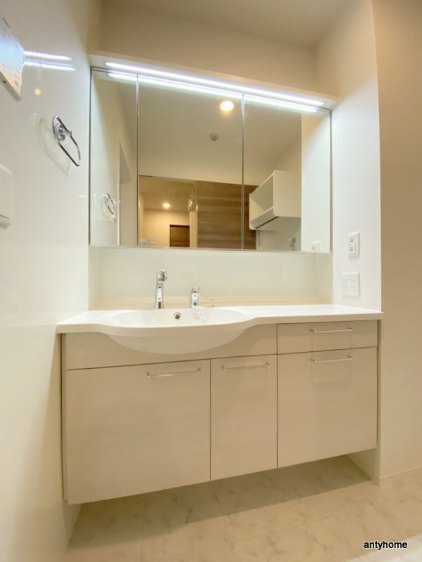 アンサンブル大今里　仲介手数料無料の洗面所