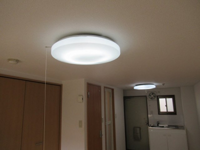 【内装】 | セジュール八戸ノ里（八戸ノ里賃貸） | 照明です