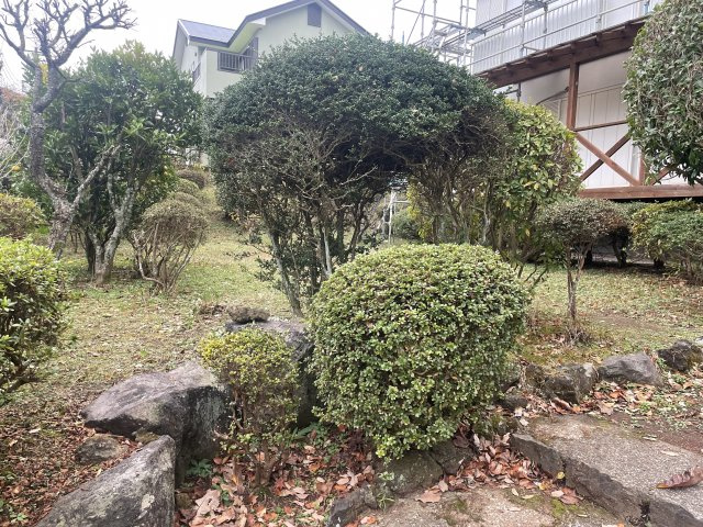 大室高原別荘地　海を望む角地の庭|なだらかな斜面の庭　とても日当たりの良いお庭です。