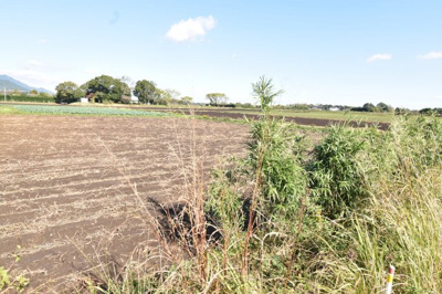 【外観】 | 鹿屋市打馬2丁目　売地