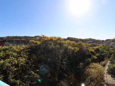 【外観】 | 岡崎市箱柳町字猫沢土地