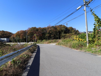 【前面道路含む現地写真】 | 岡崎市箱柳町字猫沢土地