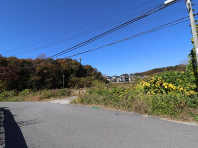 【前面道路含む現地写真】 | 岡崎市箱柳町字猫沢土地