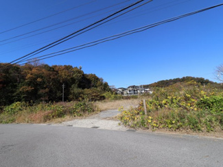 【前面道路含む現地写真】 | 岡崎市箱柳町字猫沢土地