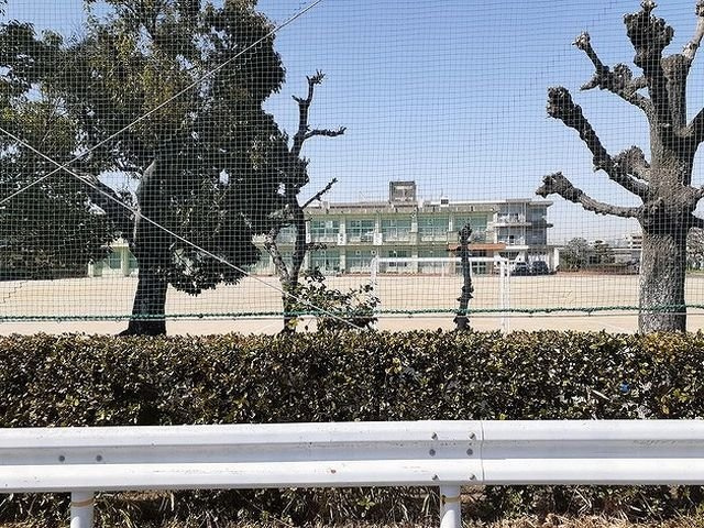 アンシャンテの周辺|南部小学校まで715m