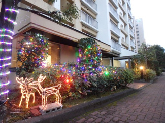 【エントランス】 | クリスマス・イルミネーション