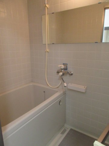 ALEGRIA(アレグリア)の浴室