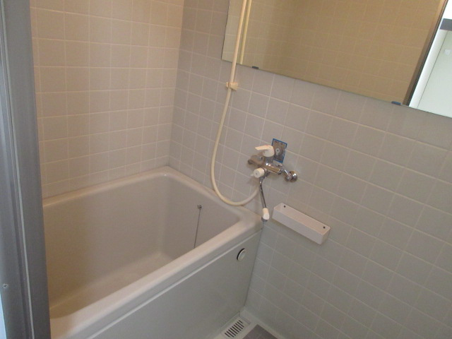 ALEGRIA(アレグリア)の浴室