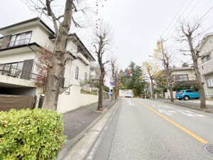 【前面道路含む現地写真】