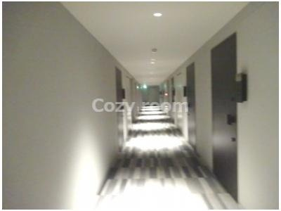 【その他共用部分】 | コンフォリア江坂 | 共有廊下も落ち着いていてお洒落です。