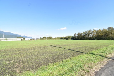 【外観】 | 鹿屋市西祓川町　売地