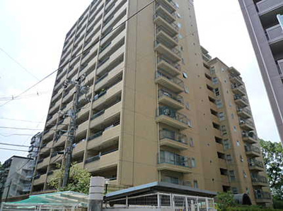 【外観】 | 常盤CO-OPマンション