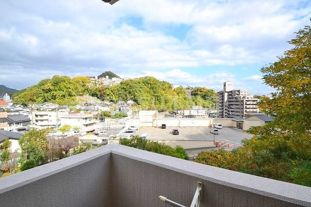 バロンズコートの展望