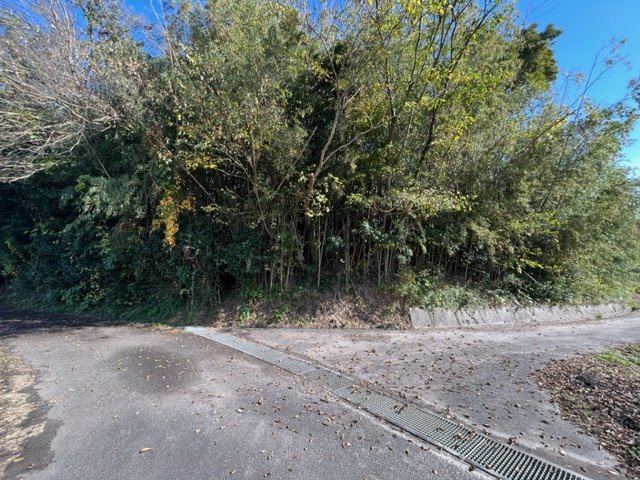 都城市大岩田町の売地の外観