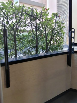 【バルコニー】 | ブラウンコート