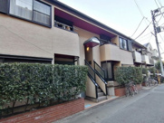 ブラウンコートの画像