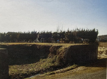 高浜1074-2の画像