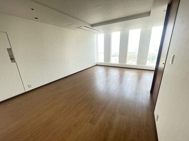 千代田区永田町２丁目の賃貸マンションのその他|リビング