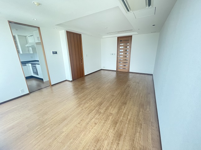 千代田区永田町２丁目の賃貸マンションの居間・リビング